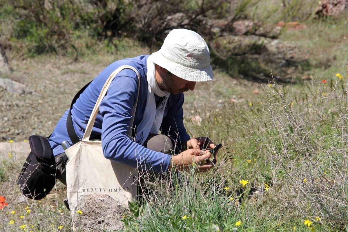 Darende'de flora projesi için ilk saha çalışması tamamlandı