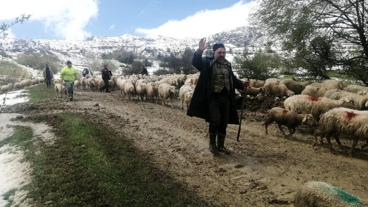 Isparta'da yaylada mahsur kalan çobanlar 30 saat sonra kurtarıldı