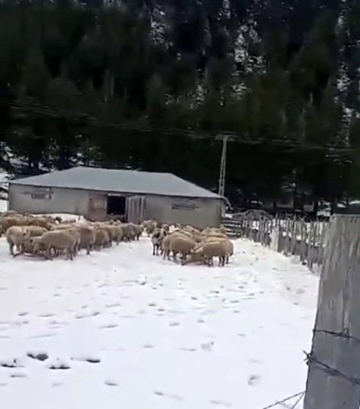 Kar kalınlığı 1 metreye ulaştı, mahsur kalan vatandaş kurtarıldı