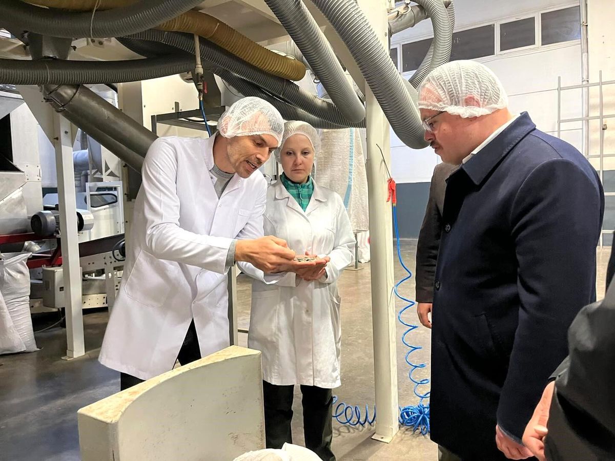 Kaynaşlı'da gıda üretim tesislerine inceleme