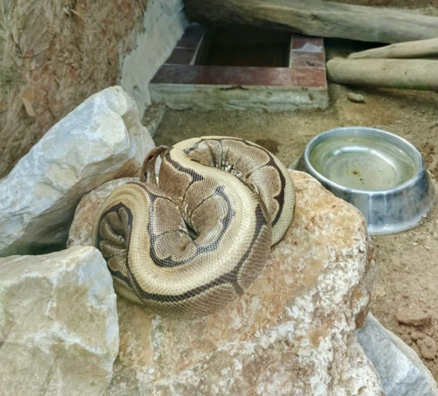 orduda yasa disi bulundurulan 19804616 3339 1 m