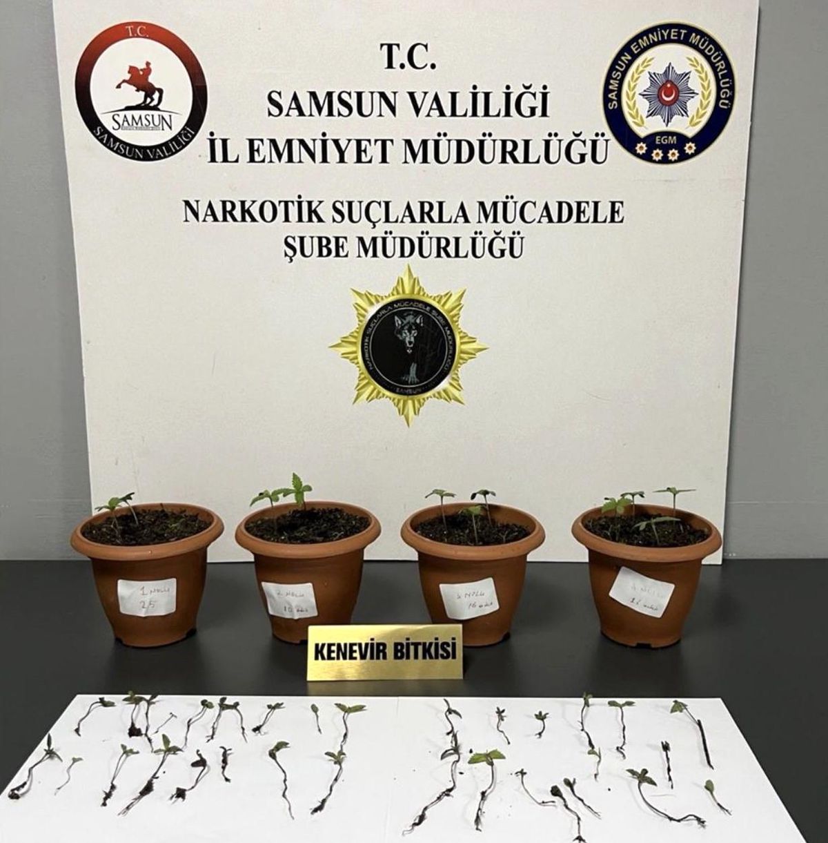 Samsun'da uyuşturucu operasyonu: 4 gözaltı