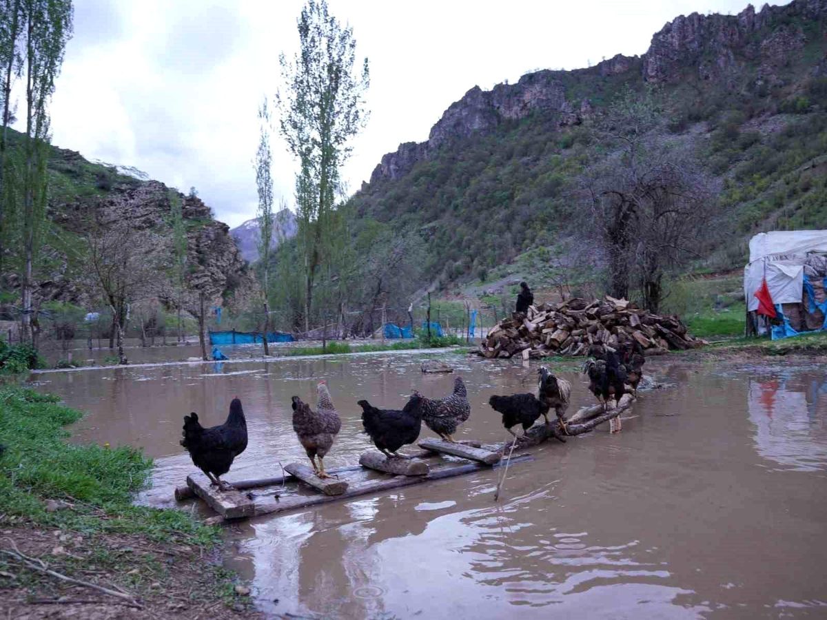 Şırnak'ta sel suları köprüleri yıktı, ev ve ahırlar sular altında kaldı