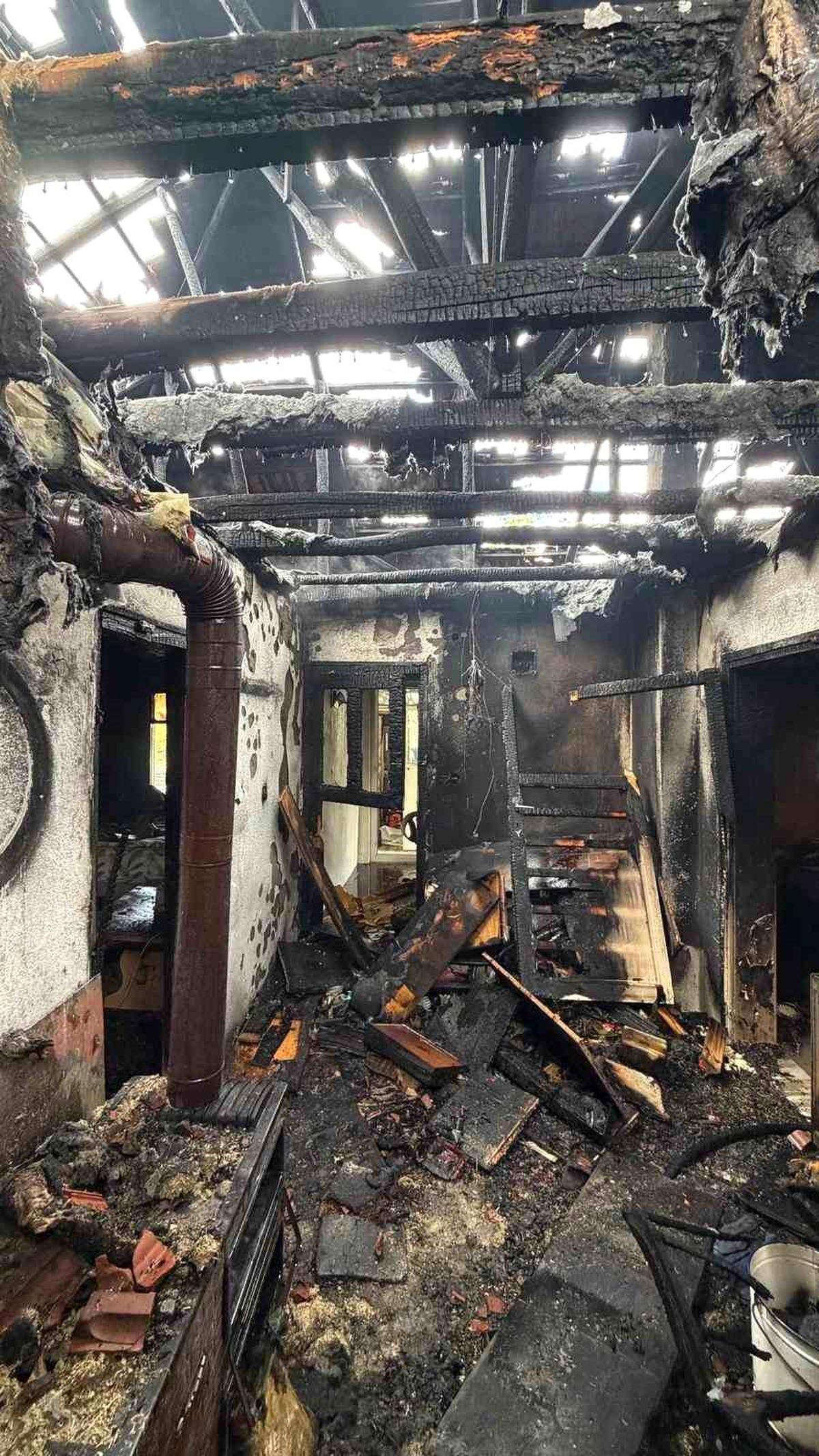 Yangında ev sahibi dumandan etkilendi, mahsur kalan kedi ekiplerce kurtarıldı