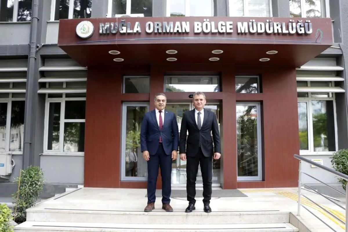 Aydın'da kestane ağaçları biyolojik mücadele ile korunuyor
