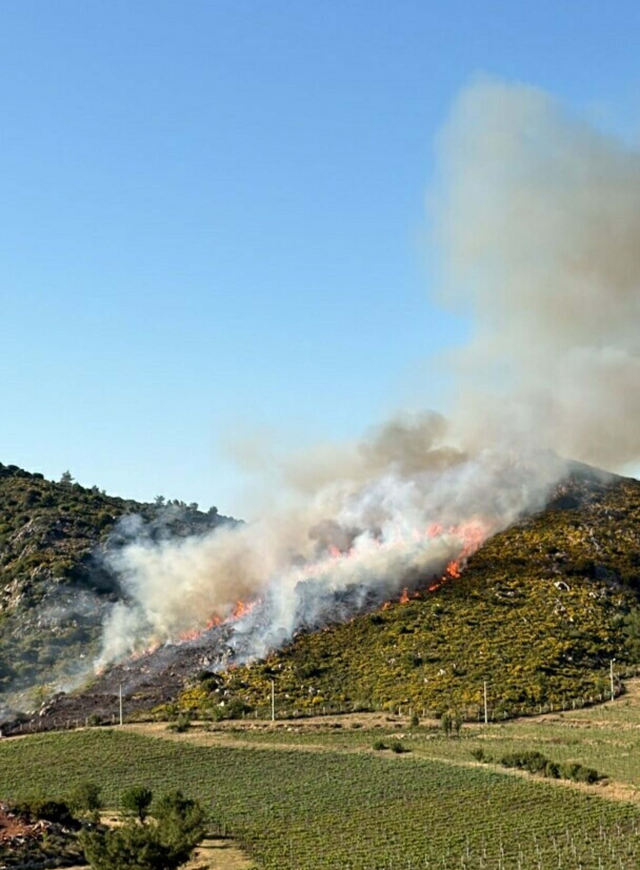 Forest fire in Marmaris