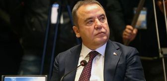 Muhittin Böcek'in serveti ne kadar, mal varlığı nedir? Böcek ailesinin mal varlığı nedir?