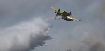 Polonya'da orman yangını söndürme çalışmalarına katılan uçağın düşmesi sonucu pilot öldü