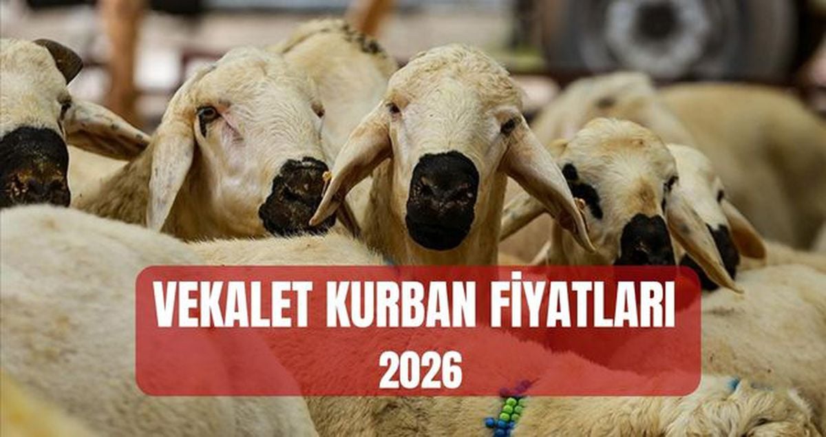 DİYANET VEKALET KURBAN FİYATLARI 2026: Vekalet kurban yurt içi ve yurt dışı hisse bedeli ne kadar?