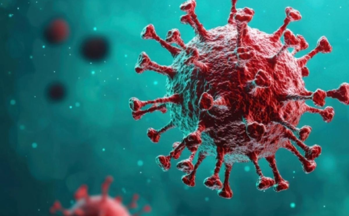 Hantavirus insandan insana bulaşır mı?