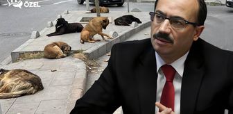 Köpeklerle ilgili sözleri gündem yaratan Osman Mesten'den ilk açıklama