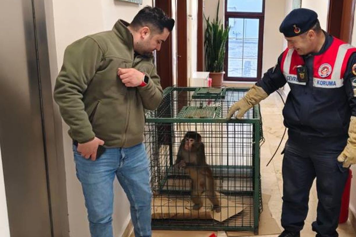 Yozgat'ta köy yolunda bulundu, gören şaştı kaldı