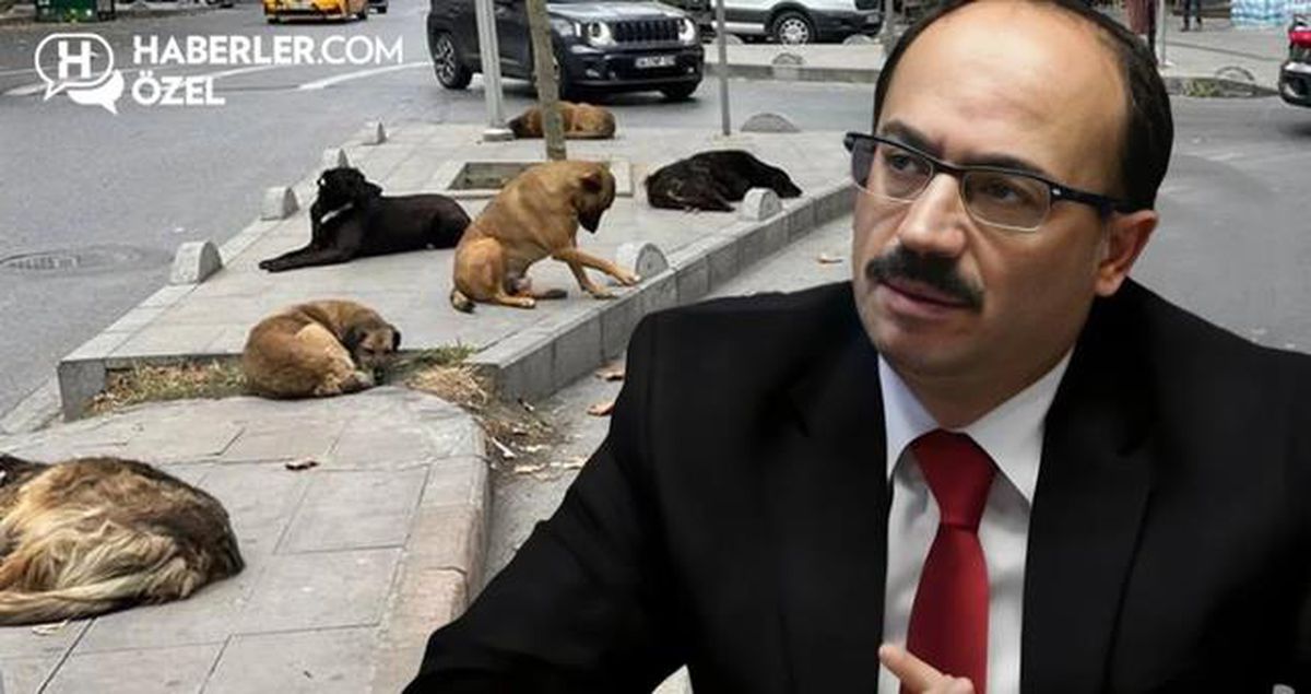 Osman Mesten kimdir, köpeklerle ilgili ne dedi? AK Parti Bursa Milletvekili Osman Mesten kaç yaşında, nereli?