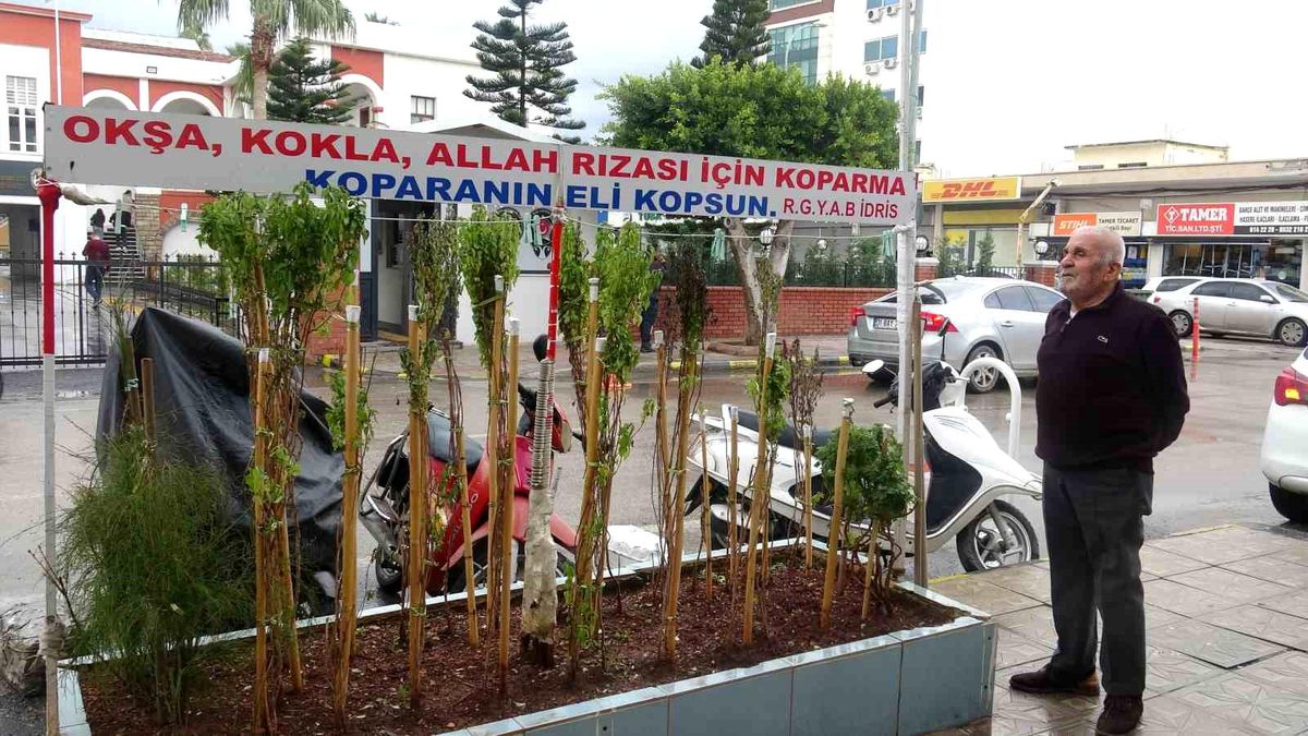 Annesinin çok sevdiği çiçeği, iş yerinin önünde mezarı andıran alanda 40 yıldır yaşatıyor
