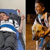 The dog named King: a Kangal called Kral stepped between two bears and a 10-year-old boy in eastern Turkey