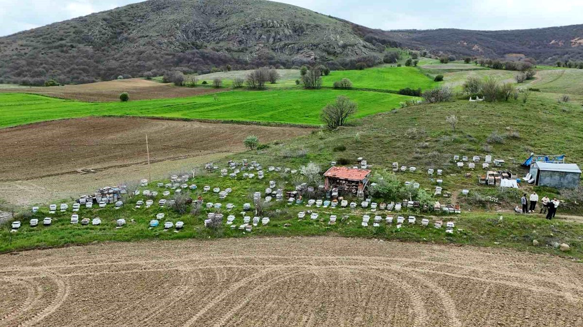 Dedesinden öğrendiği mesleği köyünde sürdürüyor