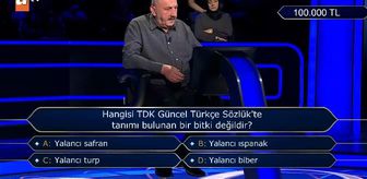 Hangisi TDK Güncel Türkçe Sözlük'te tanımı bulunan bir bitki değildir