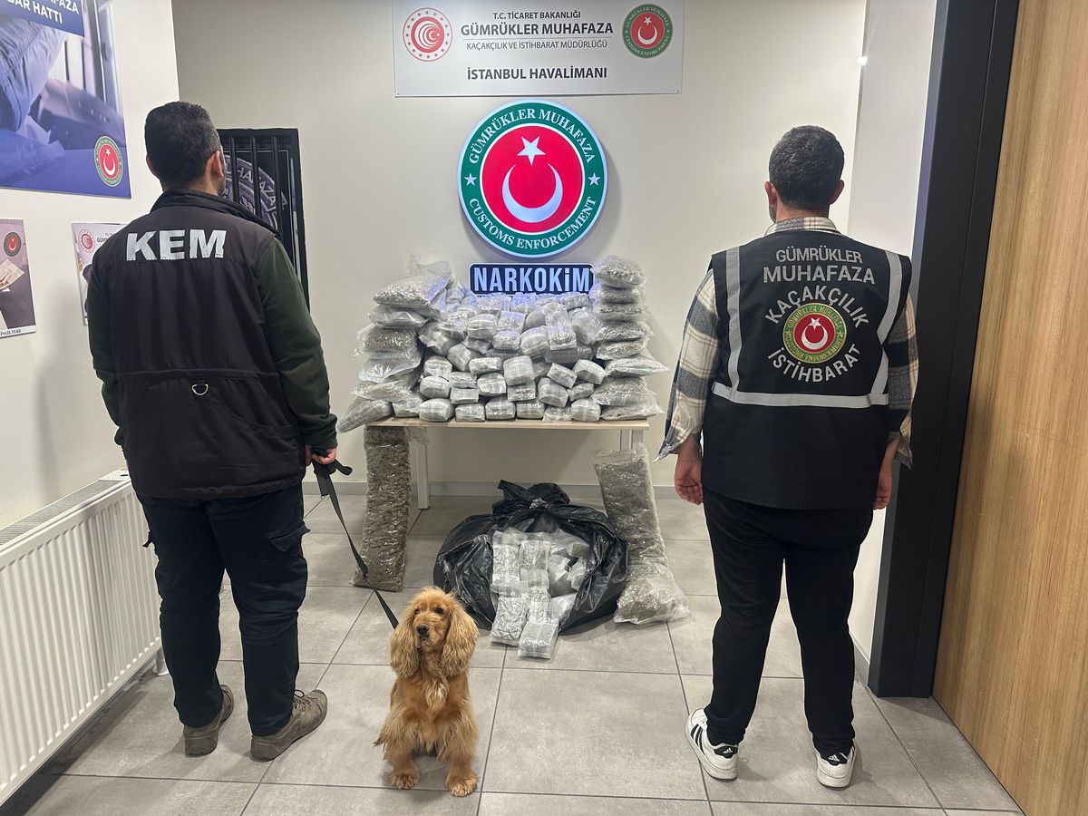 Ticaret Bakanlığı: 659 kilo uyuşturucu ele geçirildi