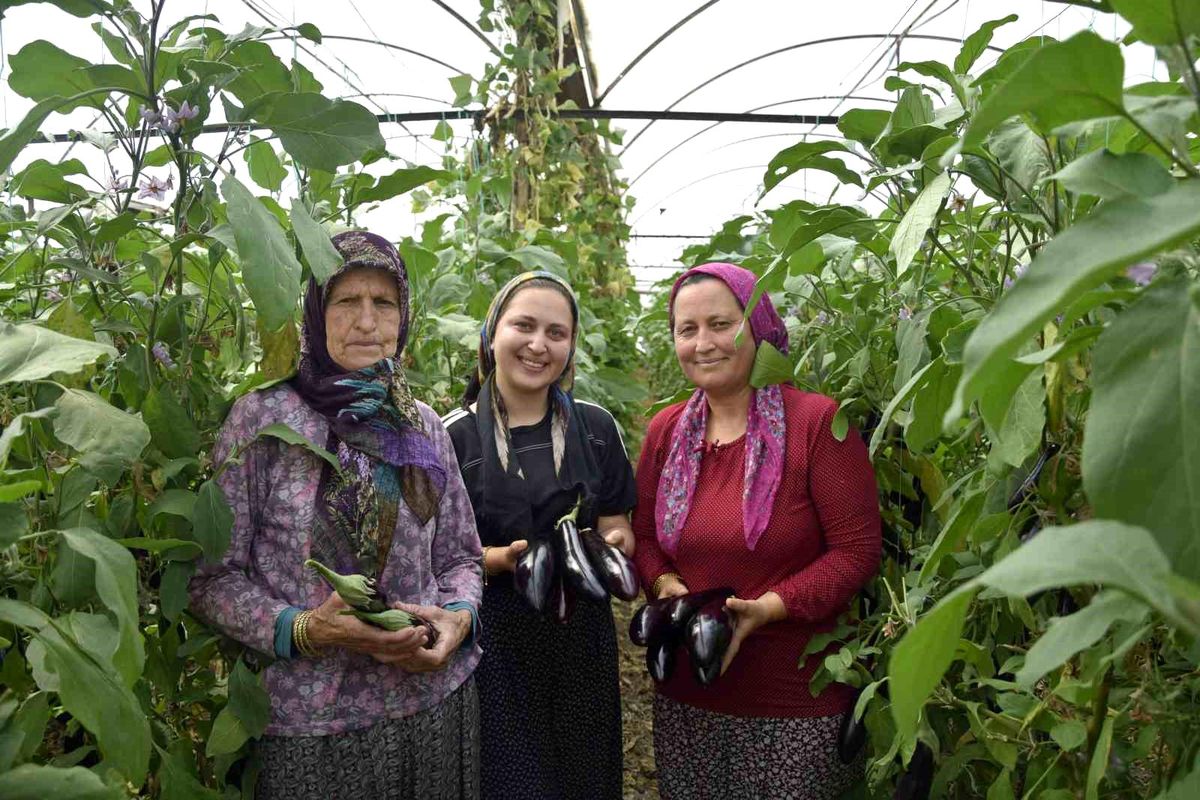 Üç kuşak kadın serada: Nineden toruna hem üretime hem aile ekonomisine katkı sağlıyorlar