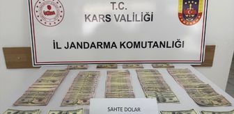 Kars'ta Kurban Bayramı öncesi sahte 51 bin 400 dolar ele geçirildi