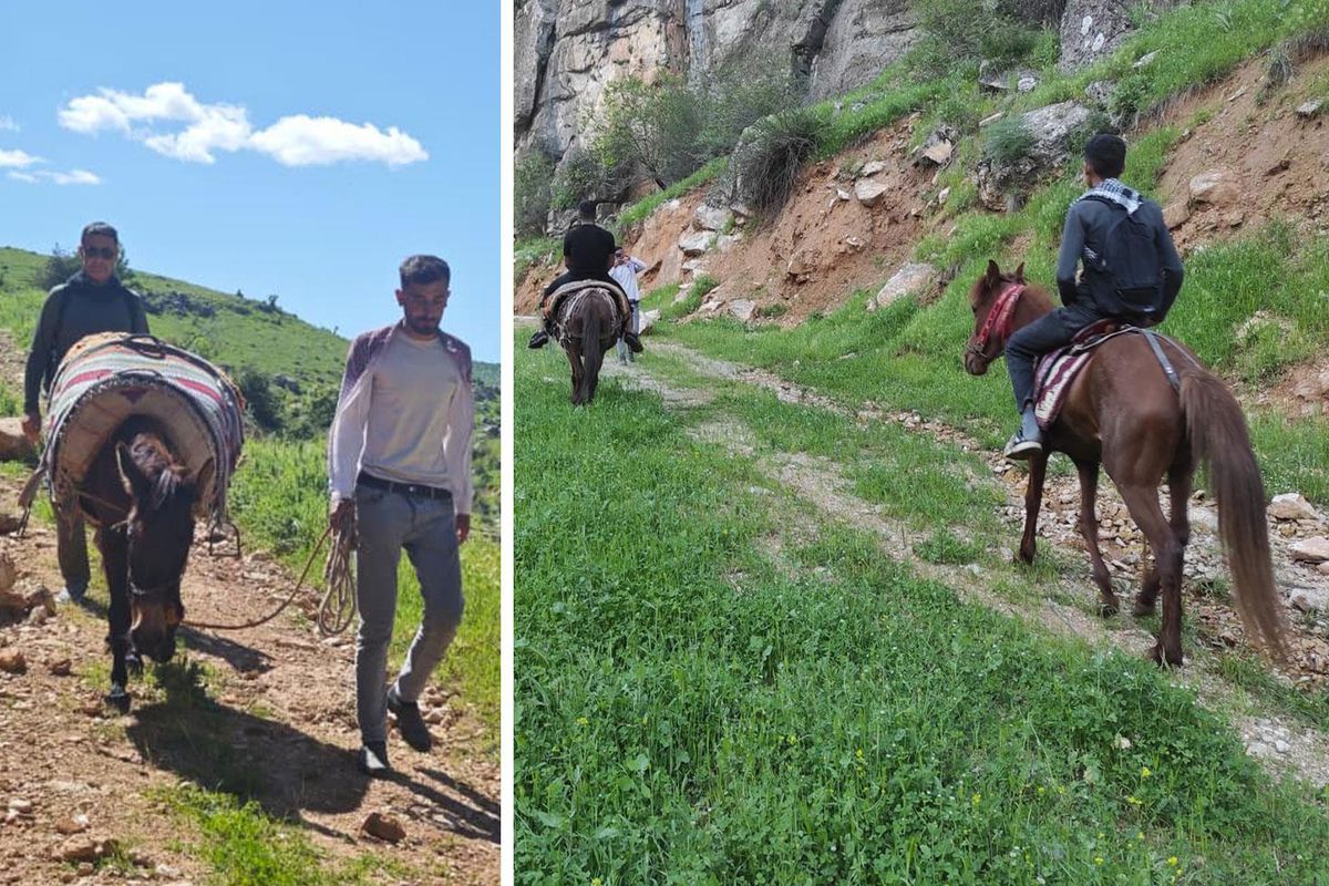 Sabah ezanıyla yola çıkıyorlar, katırlarla 3 saatlik yol gidip topluyorlar