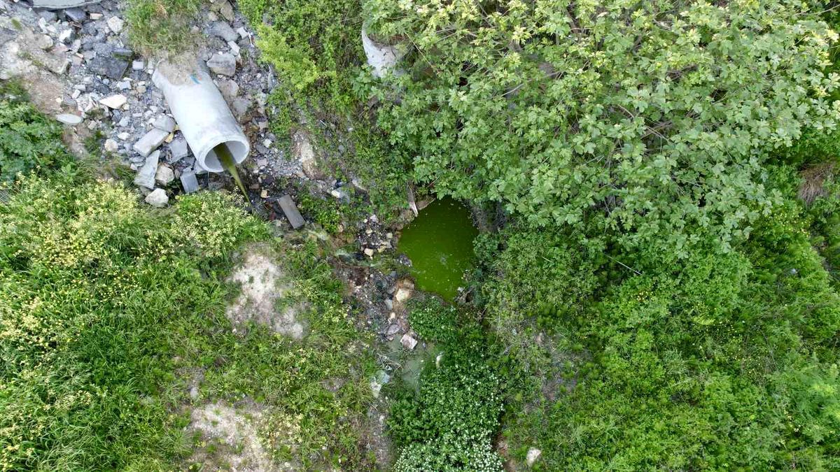 Arnavutköy'de dereden akan yeşil su mahalleliyi tedirgin etti