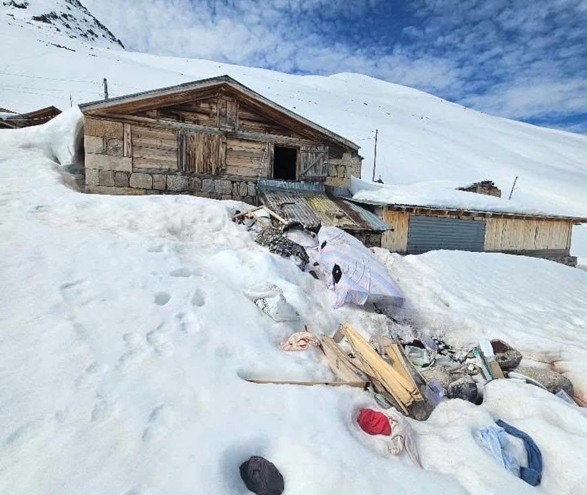Çamlıhemşin yaylalarında ayı paniği! Yayla evleri paramparça edildi