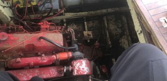 Çınarcık'ta teknenin motor bölümüne sıkışan kediler kurtarıldı