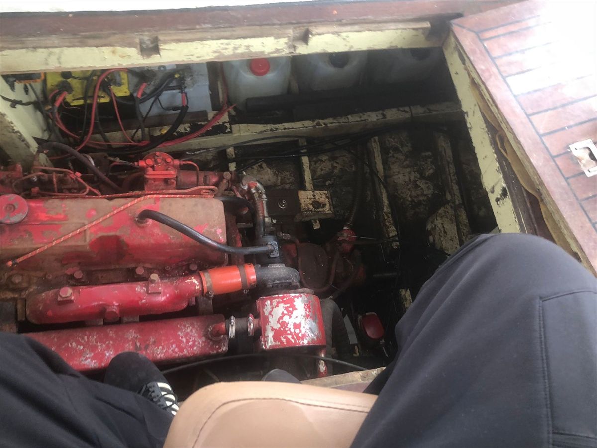 Çınarcık'ta teknenin motor bölümüne sıkışan kediler kurtarıldı