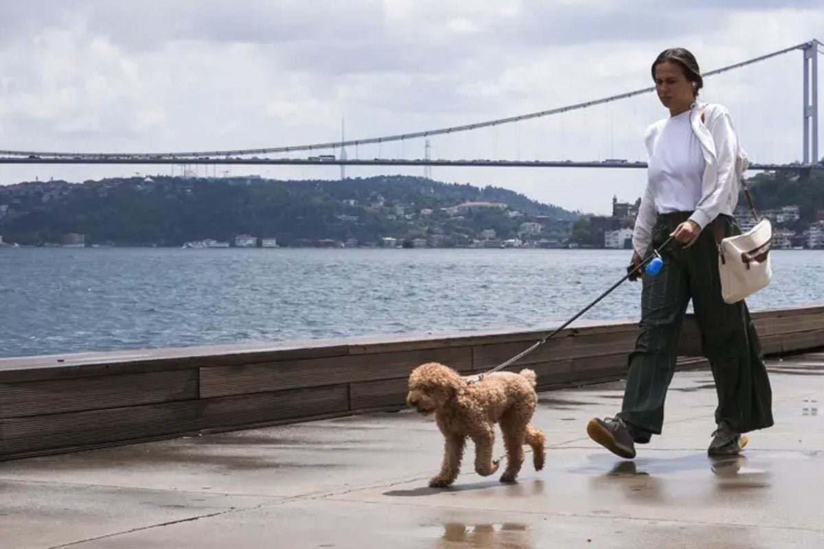 Dolu, sağanak, hortum! 5 gün Türkiye'yi esir alacak