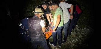 Sakarya'da fındık bahçesinde çalışırken uçuruma yuvarlanan kişi öldü