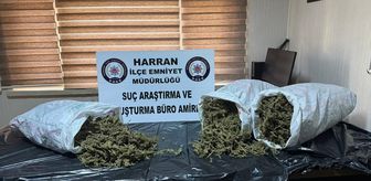 Şanlıurfa'da 8 kilo 240 gram esrar ele geçirildi
