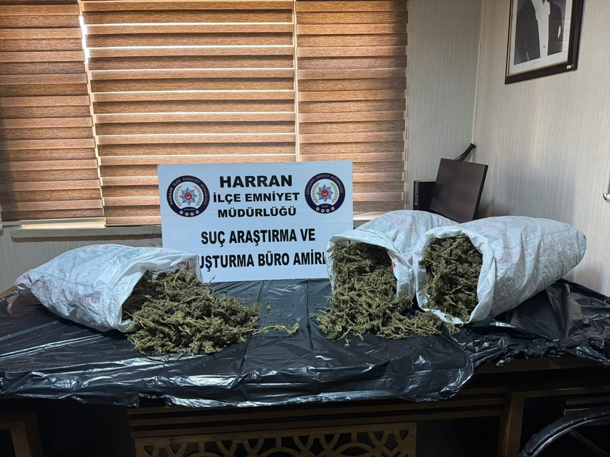 Şanlıurfa'da 8 kilo 240 gram esrar ele geçirildi