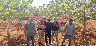 Şanlıurfa'da kaybolan çocuk fıstık bahçesinde bulundu