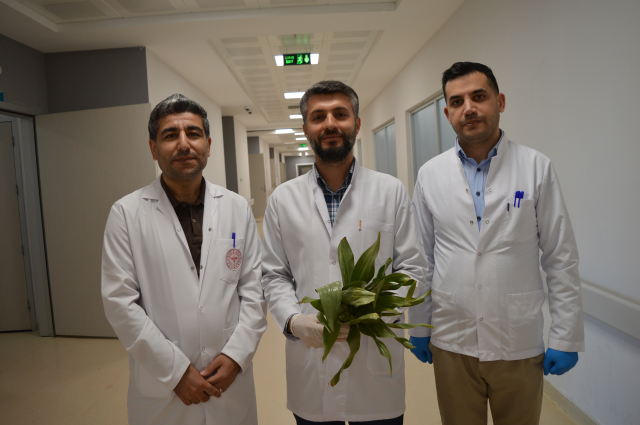 seker hastaligina iyi geliyor 19837884 7139 1 m