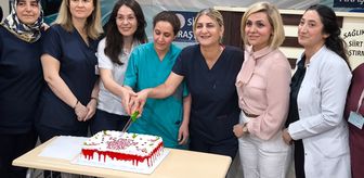 Siirt'te Dünya Hemşireler Günü kutlandı