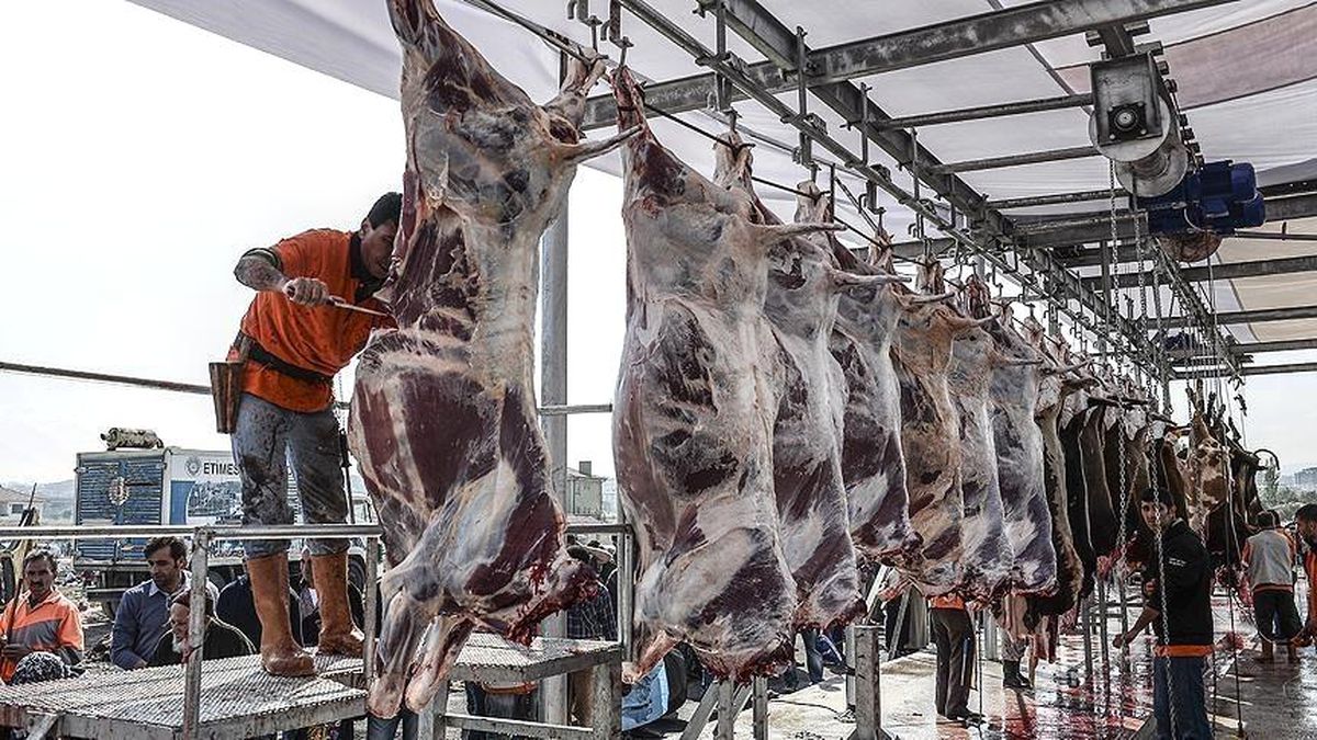 Uzunköprü'de "Kurban Kesim Elemanı Kursu" açılıyor