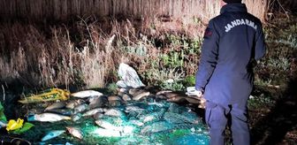 Beyşehir Gölü'nde kaçak avlananlara 337 bin lira ceza