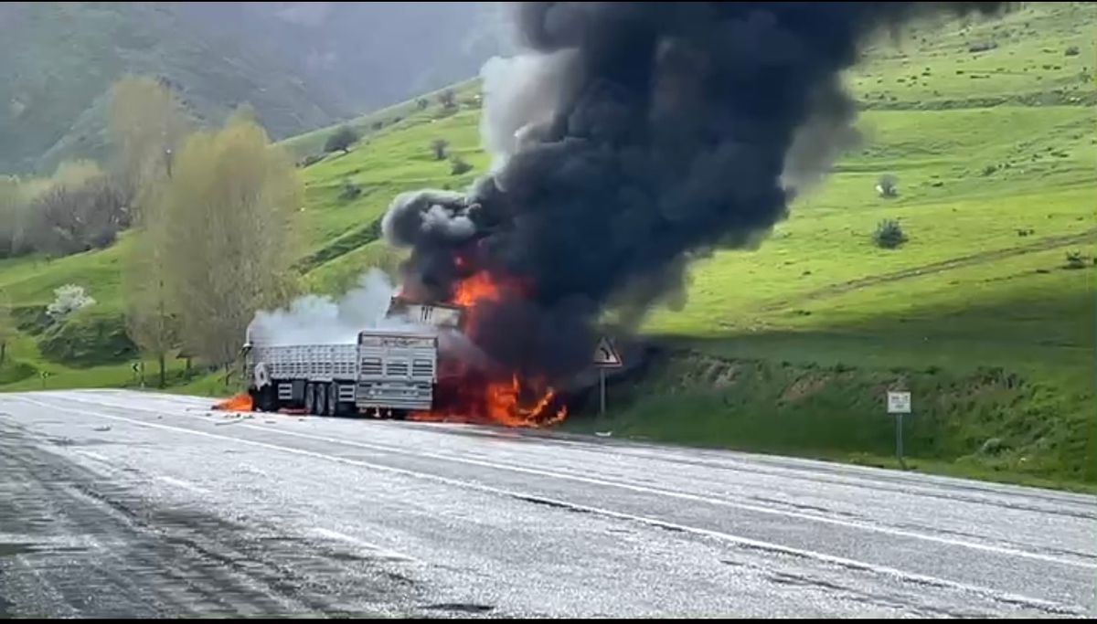 Bitlis'te kafa kafaya çarpışan 2 TIR alev aldı; 2 ölü
