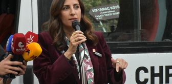 CHP heyeti maden ruhsatlarına tepki amacıyla Artvin'de vatandaşlarla bir araya geldi