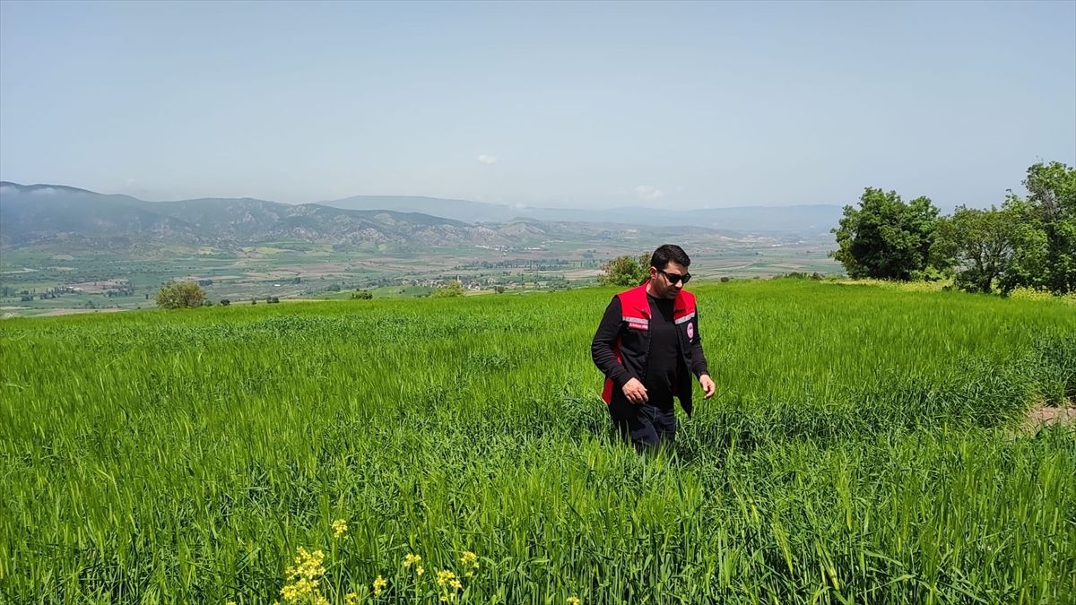 Göynücek'te referans parsel ve ürün doğrulama çalışmaları tamamlandı