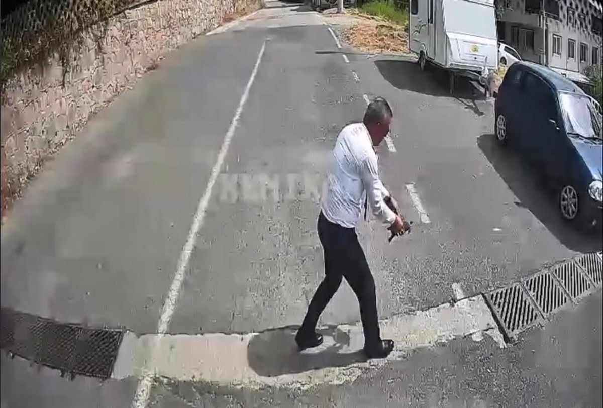 Otobüsü durdurup kaplumbağayı ezilmekten kurtardı