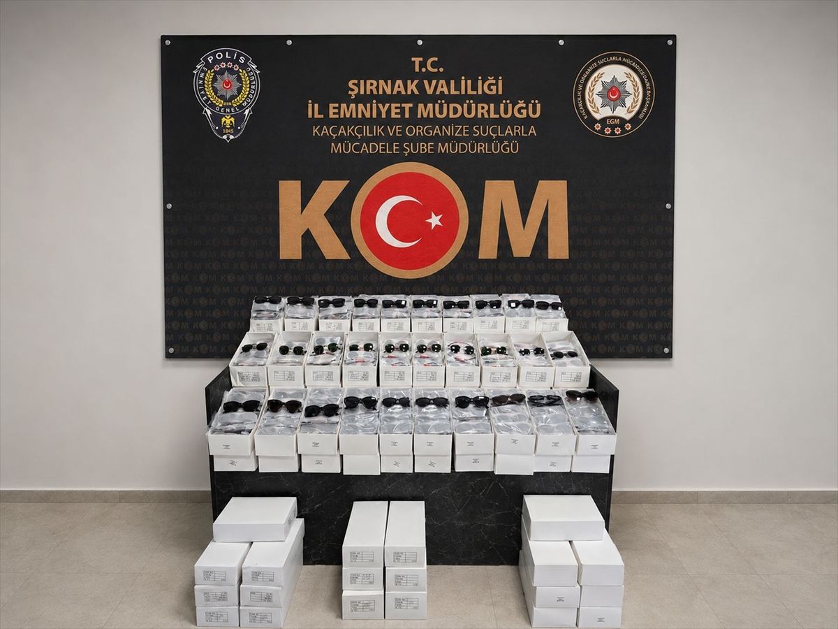 Şırnak'ta kaçakçılık operasyonunda yakalanan 1 şüpheli tutuklandı