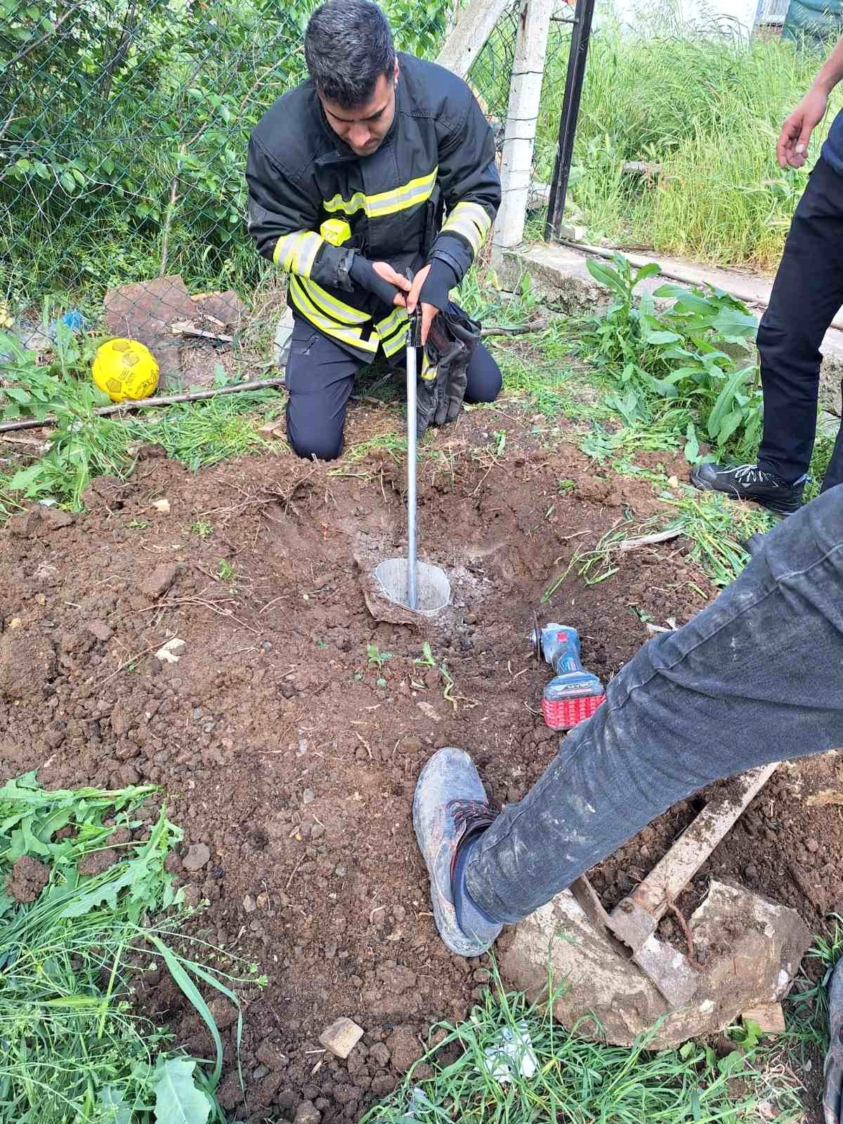 Su kuyusuna düşen kirpi kurtarıldı