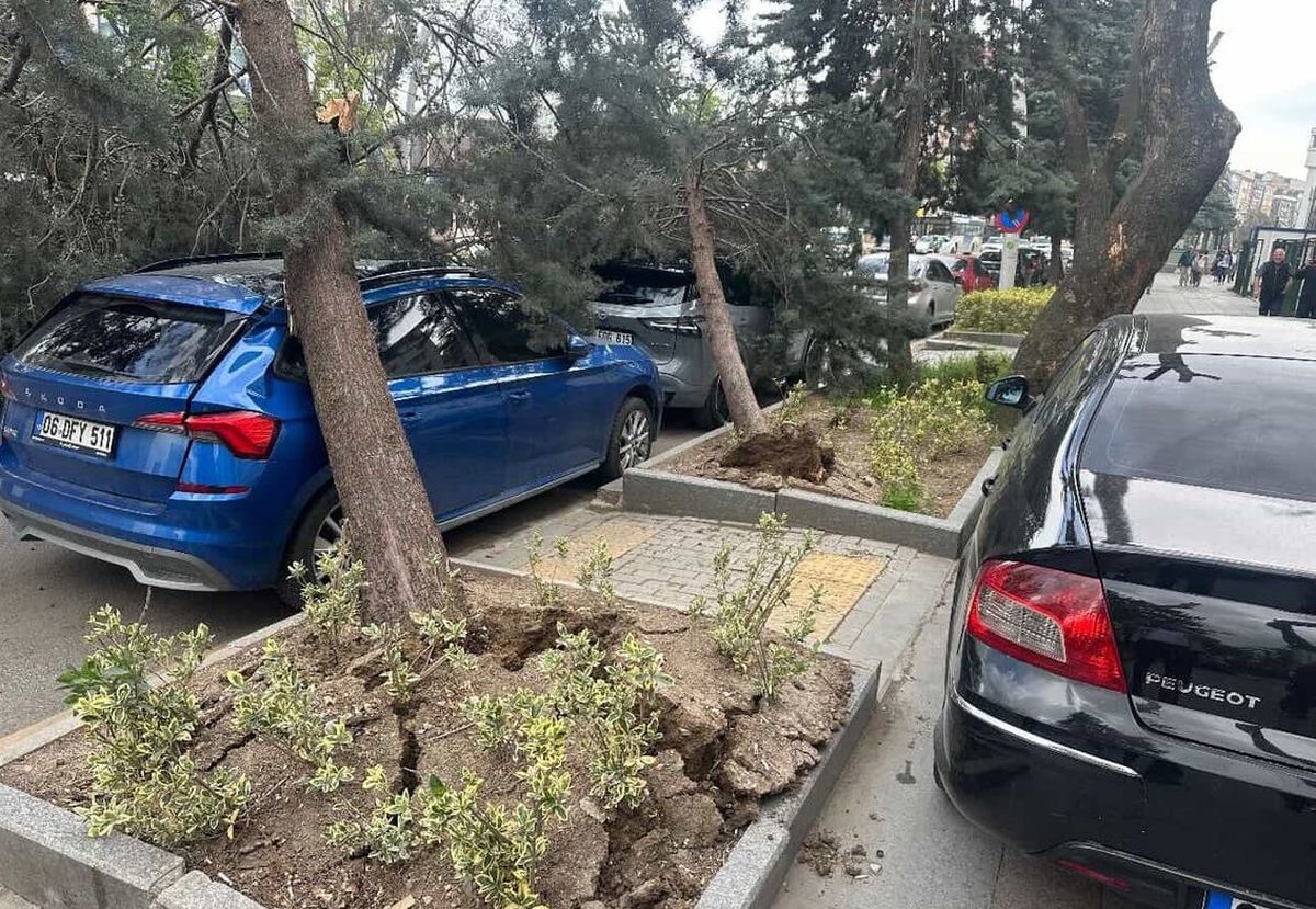 Ankara'da Şiddetli Rüzgar Hayatı Felç Etti: Devrilen Ağaçlar Araçlara Zarar Verdi