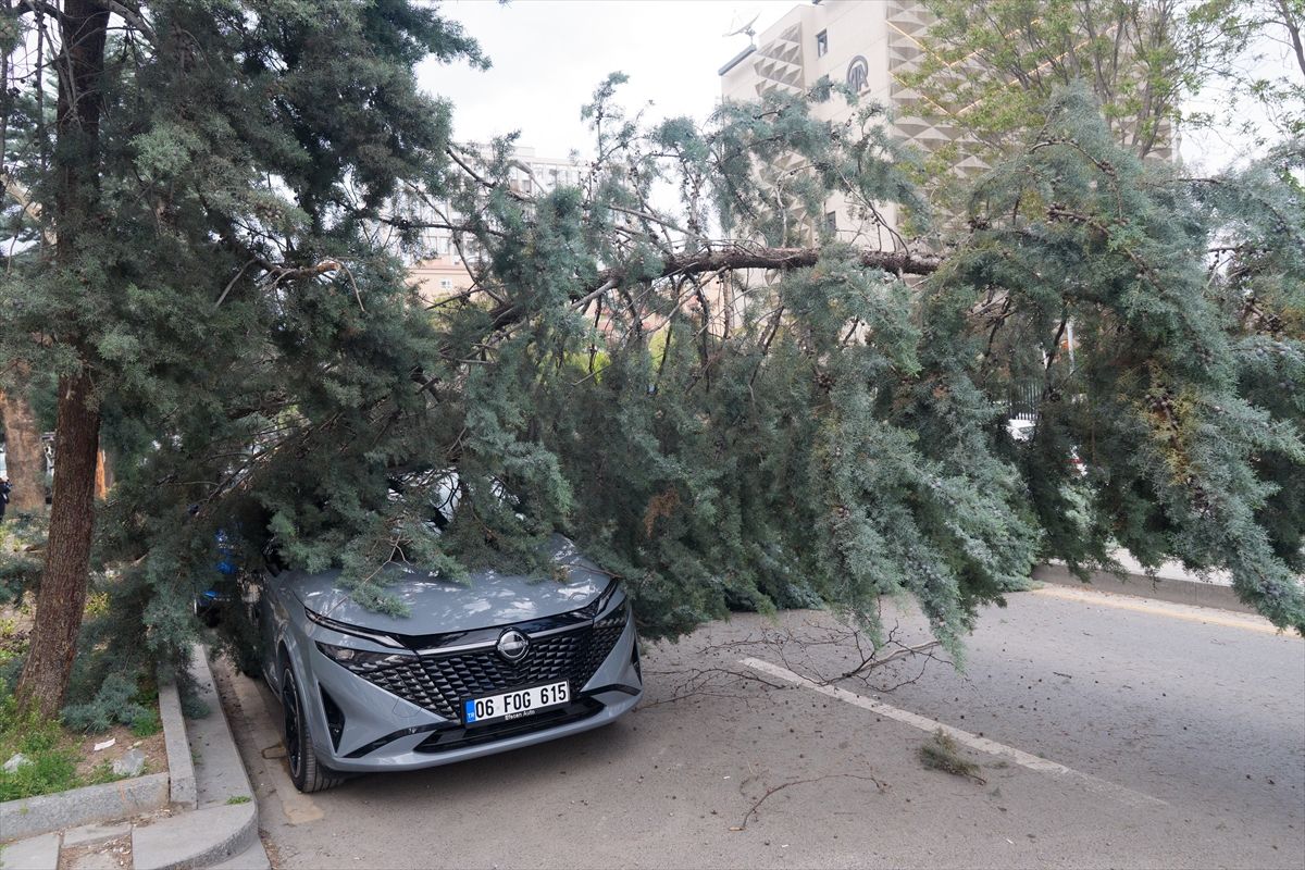 Ankara'da şiddetli rüzgarda devrilen ağaçlar nedeniyle 2 araç hasar gördü