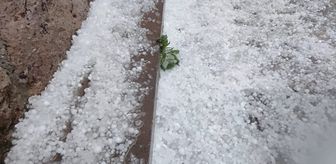 Ayvacık'ta sağanak ve dolu etkili oldu