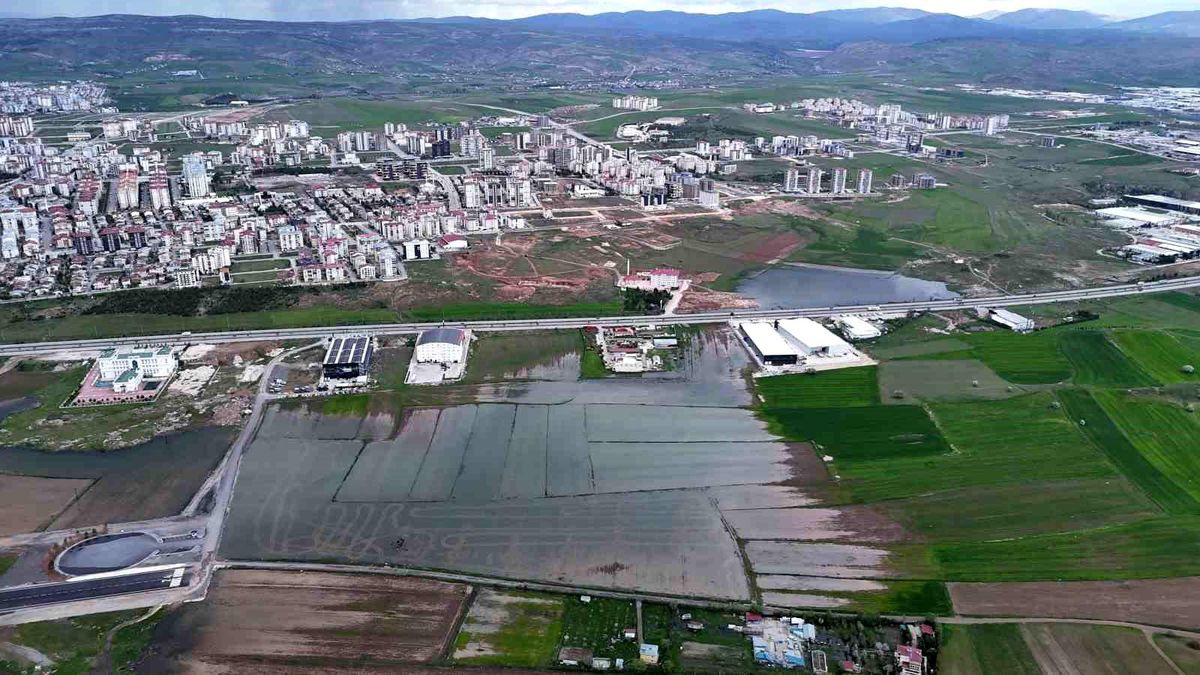 Bali değil Sivas, pirinç değil hububat tarlası