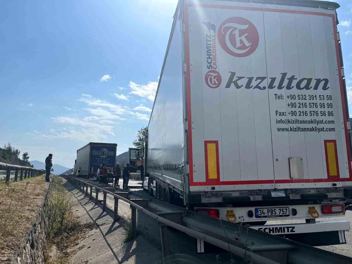 Bilecik'te iki tır çarpıştı: 1 yaralı