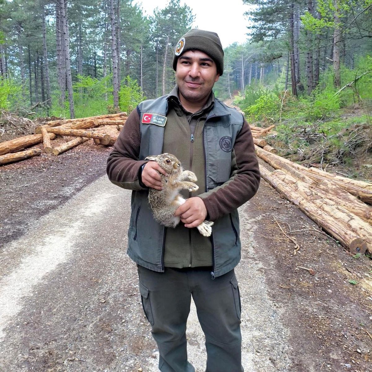 Bolu'da tomrukların arasına sıkışan yavru tavşanı ormancılar kurtardı